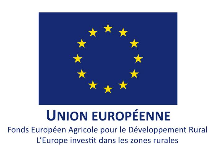 Logo UE web