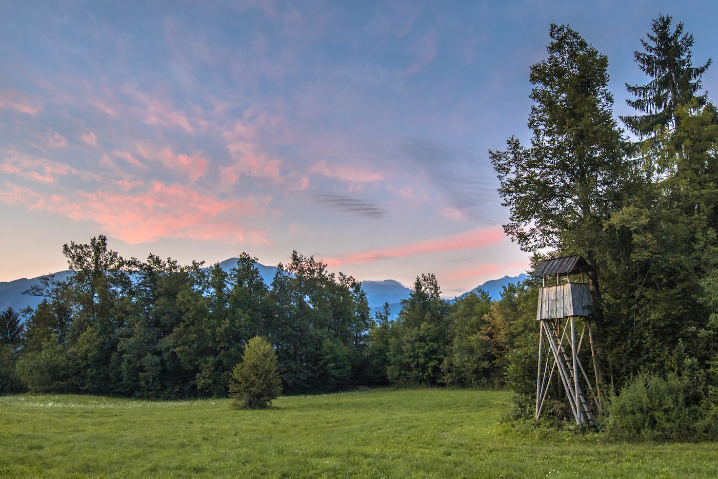 chasse alsace